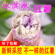 老农夫 冰淇淋红薯新鲜红蜜薯批发甜糖心地瓜小红薯红心沙地一点红番薯 5斤小果