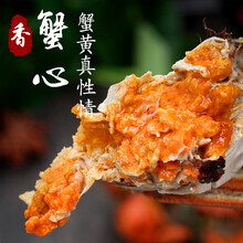 特大正宗大闸蟹新鲜活螃蟹现货公母蟹随机螃蟹 大闸蟹4+4（2.0-1.5两）