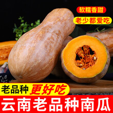 老南瓜云南热带南瓜新鲜批发黄南瓜板栗味 4斤