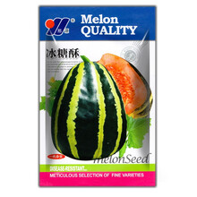 甜瓜种子冰糖子甜瓜薄皮特甜香瓜种籽高产早熟羊角酥甜瓜四季水果种子超甜酥脆冰糖酥种子 冰糖子甜瓜种子50粒简装