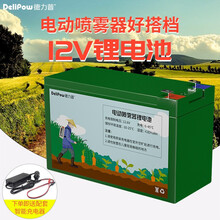德力普（Delipow）锂电池 12v大容量电动喷雾机农用锂电瓶蓄电池 适用喷农药/照明灯/门禁童车 【喷雾器锂电池12V67WH】