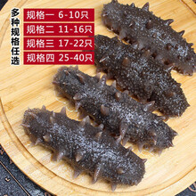 即食海参刺参单只装大连辽参礼盒年货 6斤家庭装 17-22只/斤