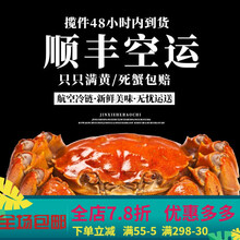 【活鲜】六月黄螃蟹大闸蟹鲜活现货特大全公母螃蟹生鲜河蟹 惟纳德 未标注全母蟹的都公母随机发