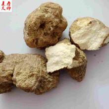 康中尊 野生虎乳菌食用农产品虎乳菇　虎乳灵芝虎奶菇500克660元