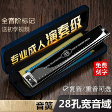 【六一儿童节甄选礼物】口风琴音簧天鹅重音高级成人28孔初学者学生入门专业演奏级WH 高级演奏款【重音-蓝色】+初学礼包