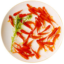 鱼多趣  锦鲫活体 草金鱼 观赏鱼淡水鱼冷水鱼  38条（3-5cm）