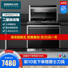 森歌（SENG） 森歌集成灶T3A/T3B 一体式环保灶 侧吸式抽油烟燃气灶具一体灶 钢化玻璃台面 一气一电