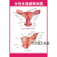男生殖器挂图 商品搜索 京东