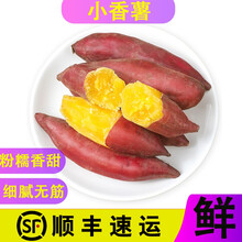 临安天目山小香薯 板栗小香薯 红薯干小番薯蜜薯地瓜 小香薯天目山 5斤精品薯