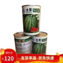 凤鸣雅世  西瓜种子水果种子西农8号西瓜种籽8424冰糖麒麟西瓜冰激凌西瓜京欣盆栽春播菜种子春季 蔬菜种子 西瓜种子金雷二号西瓜种籽100克