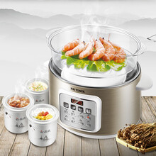 天际(TONZE)电炖锅 电炖盅 隔水炖锅 煲汤锅炖汤锅 熬粥燕窝养生  DGD22-22FWG