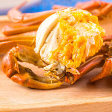 【活蟹】全母大闸蟹鲜活螃蟹活物特大现捕六月黄海鲜水产蟹类 安德兰 全母蟹2.5-2.9两10只