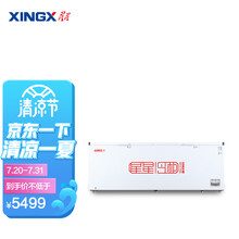 星星（XINGX） 商用冰箱大容量冰柜 卧式冷冻柜商用大冷柜餐饮后厨  975升 BD/BC-1098GE