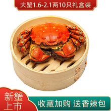 【活蟹】蟹家长大闸蟹 六月黄大闸蟹鲜活特大螃蟹公母蟹生鲜水产新鲜河蟹 1.6-2.1两10只礼盒装大蟹