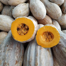 新鲜甜糯老南瓜孕妇宝宝辅食农家香甜黄南瓜小南瓜新鲜发货 南瓜5斤左右