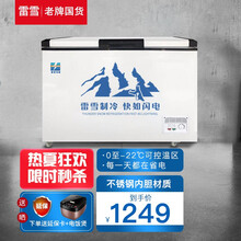 【不锈钢内胆】雷雪卧式冰柜家用商用大容量冷柜商用 展示柜冷藏冷冻柜冰柜双温 418单温（不锈钢内胆款）