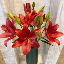 花集配 红色百合 红宝石3头*5支  云南昆明斗南鲜花速配办公室家庭水养每日插花送家人朋友老师伴手礼