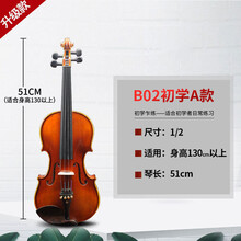 乐贝姿(LEBEIZI)手工实木小提琴初学者成人级考级演奏儿童练习小提琴乐器 初学A款1/2(2/4)-适合身高130cm以上使