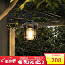 乡间小路户外防水吊灯庭院阳台花园廊架走廊阳光房凉亭葡萄架吊灯 黑色鸟笼灯吊灯8寸+LED灯泡