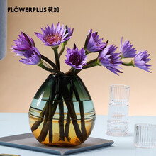 花加 flowerplus 单品鲜花产地直发盛夏时令花束紫色睡莲10枝