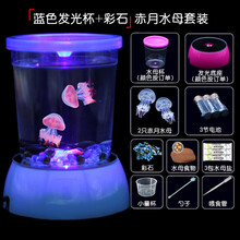 启萌先生 水母活物水母杯发光瓶套缸赤月倒立海月好养学生宿舍桌面海洋宠物 蓝色发光杯套装 彩石 2只2-3cm赤月水母