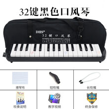 DHS口风琴37键32键小学生用口风琴儿童专业演奏级初学者吹管乐器 32键黑色+全套赠品