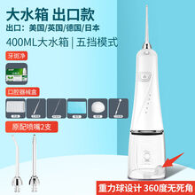 电动冲牙器洗牙神器便携式家用洗牙器去牙结石牙垢智能正畸水牙线 400ML大水箱出口款白2喷头+礼包
