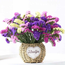 （linkinjoy） 勿忘我干花鲜花 基地直发 混色2斤