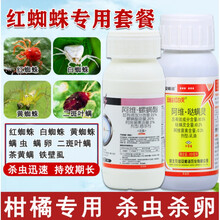 农药店农药杀虫剂高效阿维螨螺酯哒螨灵除红蜘蛛专用药果树杀虫药 300ml