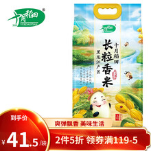 金禧家米 商品搜索 京东