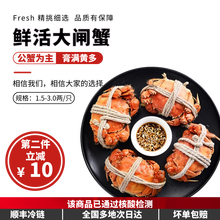 【探长海鲜】六月黄大闸蟹8-16只【包活】礼盒装生鲜螃蟹活体实物河湖蟹清水大闸蟹 【只只带黄】8只装（2.0-1.5两）