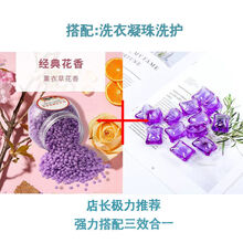 【厂家特销】洗衣凝珠网红洗衣液持久留香去污洗衣三合一 浪漫紫香洗衣凝珠+熏衣草香留香珠 【洗衣凝珠100克+留香珠100克】