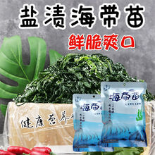 海带嫩苗5斤250克鲜嫩海带芽霞浦盐渍制海藻新鲜凉拌非裙带菜 5斤批发特惠装【】 海带苗