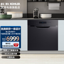 科勒（KOHLER）洗碗机家用8套嵌入式 独立烘干 全自动智能高温消毒除菌洗烘一体机 K-23704T-NA