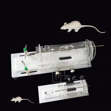 大鼠固定器 小鼠固定器 固定头部固定器 鼠筒 卡头老鼠固定器 架 250-350g 有票