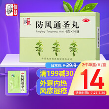 仲景 防风通圣丸6g*10袋 解表通里 清热解毒 用于外寒内热大便秘结风疹湿疮头痛咽干小便短赤