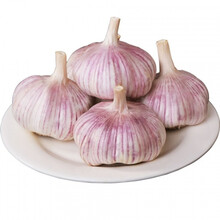 山东新鲜干蒜白皮干大蒜批发 9斤精选