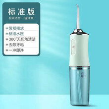 冲牙器便携式电动水牙线口腔牙齿清洗正畸专用牙结石洗牙神器旦榄 青春绿 豪华电机冲牙器+4个喷嘴+3个模式