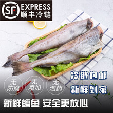 延边新鲜无头去内脏明太鱼狭鳕鱼大棒鱼辅食雪鱼深海鱼8斤