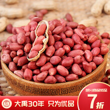 大禹 四粒花生种子富硒黑花生春季高产优质山东鲁花种籽带壳红皮花生米蔬菜种孑日本 四粒红花生种子 1斤【早熟 不带壳简装】