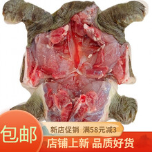【冷链运输】甲鱼批发现杀现发外塘生态老鳖食用水鱼王八真空包装新鲜去皮去油彼尔安佳 宰杀后净重2.2斤超大公甲鱼一只
