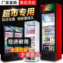 煜灿 饮料展示柜冷藏柜双门保鲜柜冰柜立式冰箱市冷藏保鲜风冷陈列柜 经典双门风冷(白色)
