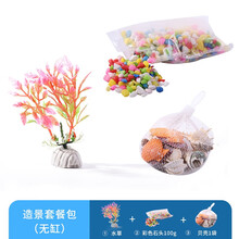 桌面生态鱼缸办公室迷你小型海藻球微景观创意积木斗鱼套装造景 造景套餐包（无缸）