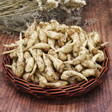 新鲜嫩姜芽山东仔姜子姜嫩姜鲜姜芽生姜醋泡姜芽蔬菜现挖 5斤精选装(强烈)