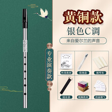 爱尔兰哨笛C调D调笛子初学儿童专业演奏高音直笛竖笛乐器小学生用 【NAOMI黄铜款】银色C调