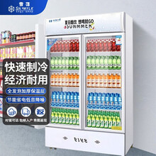 【雪花官方店】雪花商用冰柜冰箱展示柜保鲜柜立式冷藏柜商用冷藏展示柜饮料柜冷柜 双门展示柜（风冷款）