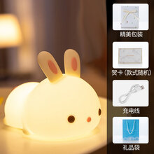 发光玩具女童儿童10岁以上5女孩子7网红3一9公主6小孩8生日礼物12 【精美包装】拍拍款＋代写贺卡