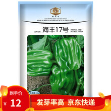 凤鸣雅世 薄皮甜椒种子薄皮王辣椒种子春四季薄皮大果灯笼青椒高产蔬菜微辣椒种籽 海丰17号方椒种子 200粒