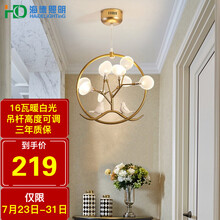 HD 吊灯 led客厅卧室灯具时尚创意餐厅灯过道灯 鸟语花香系列（含光源）
