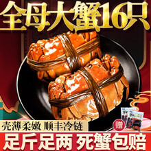 【活蟹】臻佳肴大闸蟹 六月黄全母蟹  鲜活螃蟹现货生鲜河蟹礼盒 全母蟹2.3-2.6两 8只装